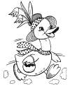 Duck coloring pages