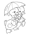 Printable duck coloring pages
