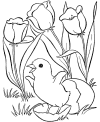 Duck coloring pages