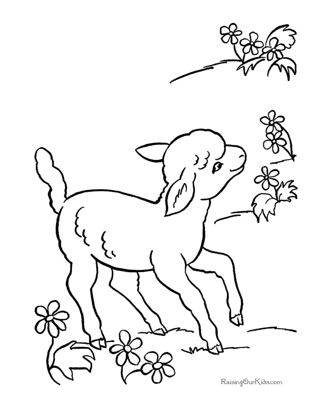 Lamb page to color