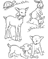 Easter coloring page free